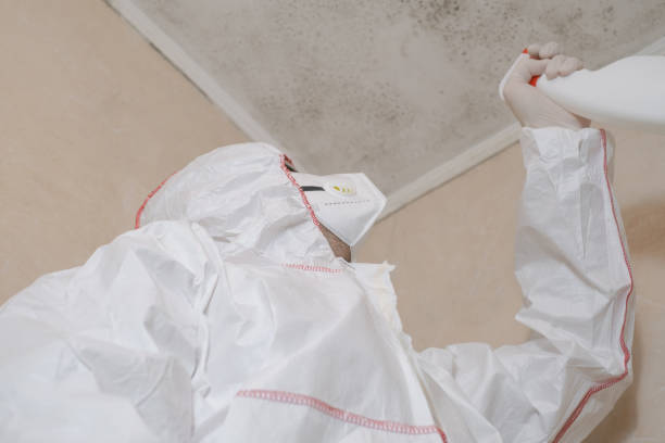 Best Residential Mold Removal  in Bellair Meadowbrook Terrace, FL