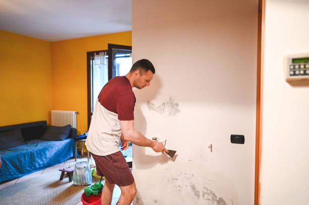 Best Certified Mold Removal  in Bellair Meadowbrook Terrace, FL