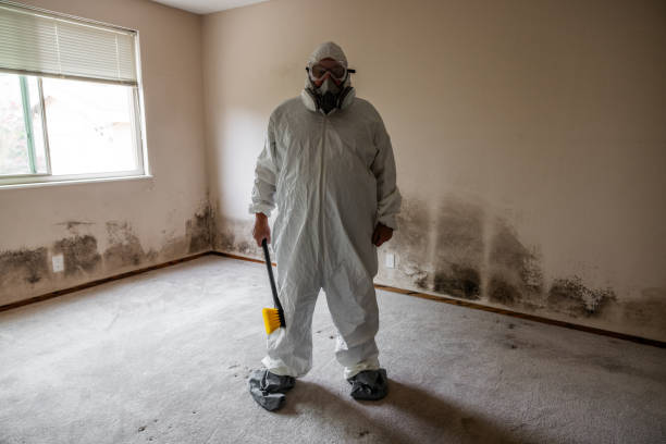 Crawl Space Mold Removal in Bellair Meadowbrook Terrace, FL